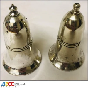 Antique Silver-Plated Salt and Pepper Set