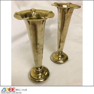 Pair of RAENO Stylish and Elegant Silver Platted Vases