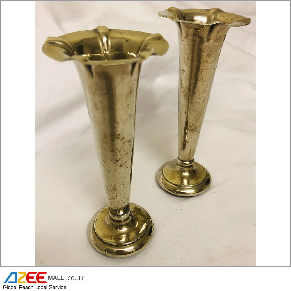 Pair of RAENO Stylish and Elegant Silver Platted Vases