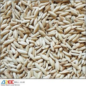 Small Special Pumpkin Seeds (Lightly Salted, Roasted in Shell), 400g