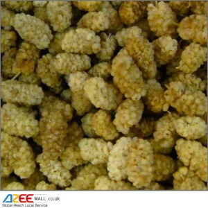 Mulberries White Sun-Dried (Toot Sefied), 400g